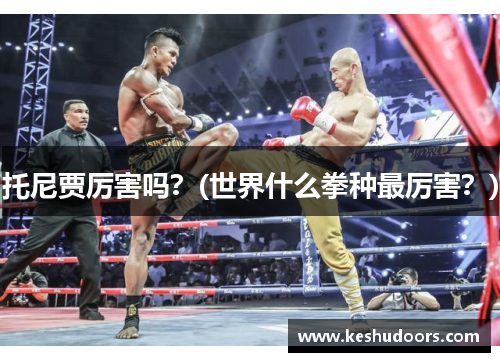 托尼贾厉害吗？(世界什么拳种最厉害？)